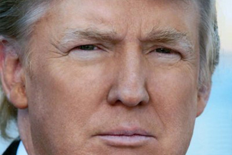 A picture of Twitter user @realDonaldTrump.